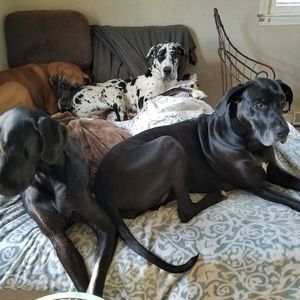 Meet your Posher, Barbara